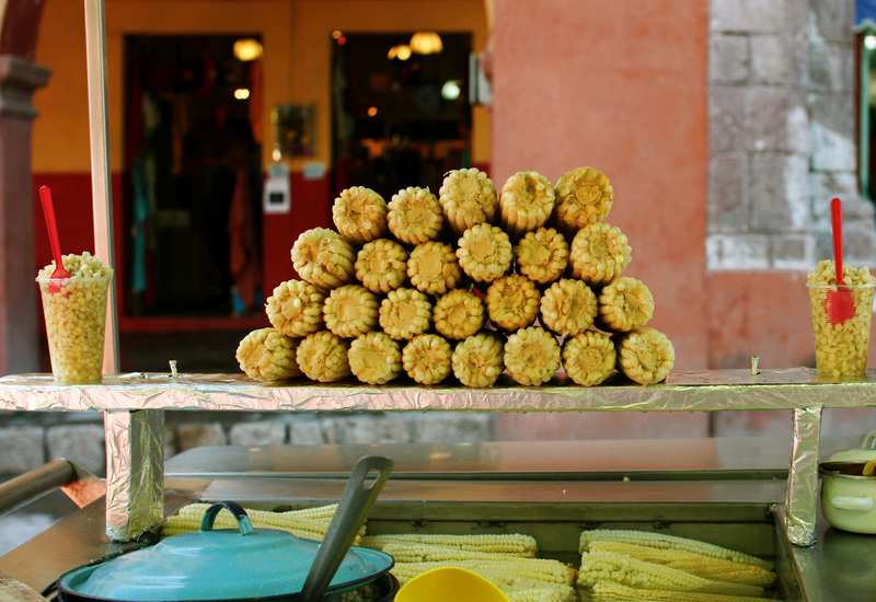 Elotes en el Jardin