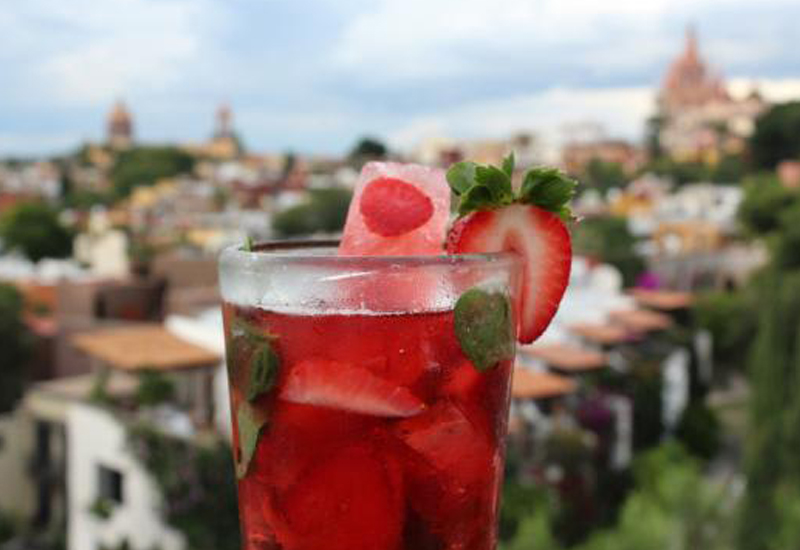 Luna Bar